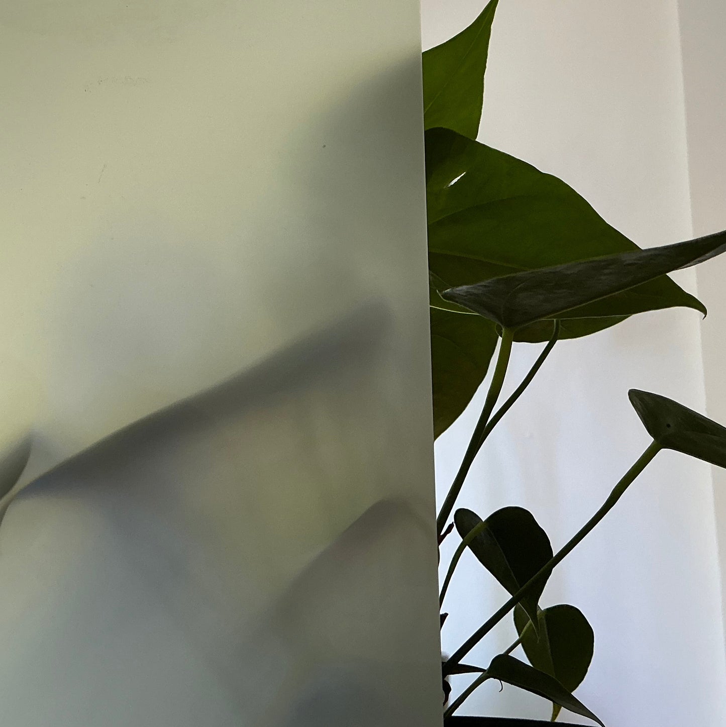 Plancha de Acrilico Color Blanco Traslúcido - 40 x 30 cm (2mm)