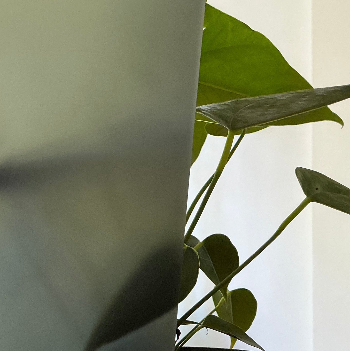 Plancha de Acrilico Color Negro Traslúcido - 40 x 30 cm (3mm)